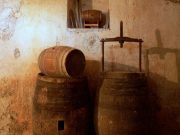 Cellar Tour & Beer Tasting at Mykonos
