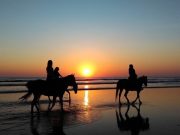 Horse Riding Tours