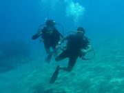 PADI Discover Scuba Diving