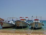 Day-trip with a traditional boat